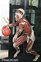 VBS_2936 - Mostra Body Worlds